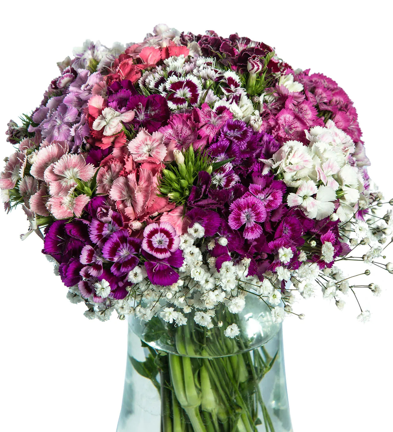 Paşabahçe Vazoda Tatlı Bahar - Görsel 2 - Uşak Çiçek