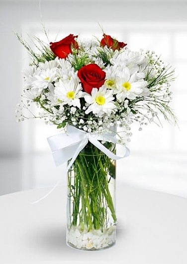 Kırmızı Gül ve Papatya'nın Masum Düşleri - Uşak Çiçek Evi