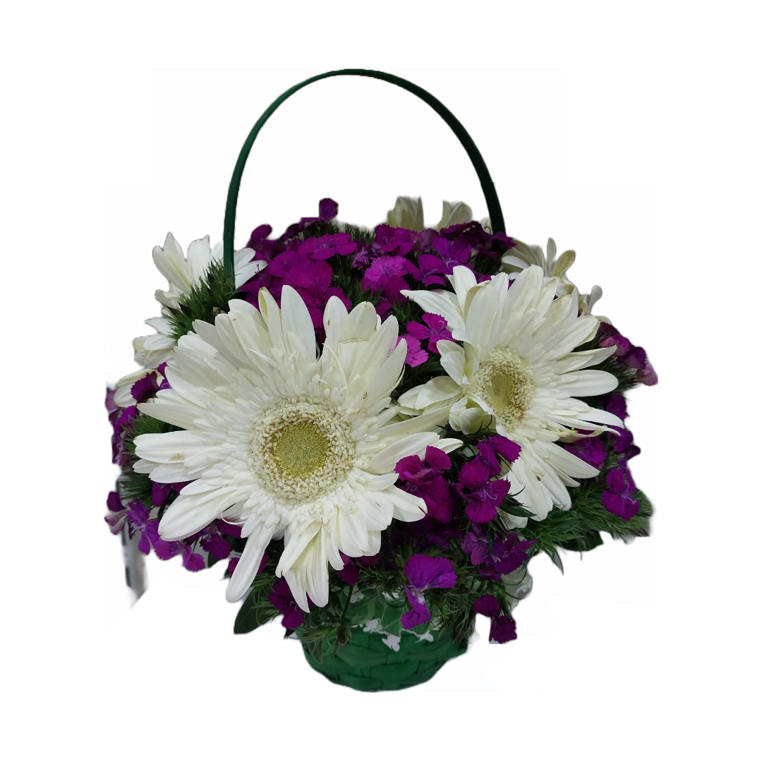 Mistik İhtişam: Mor Hüsnü Yusuf, Gerbera Sepetinde - Uşak Çiçek Evi