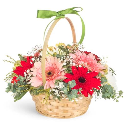 Baharın Renkleri Gerbera Sepeti