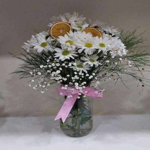 Cam Vazoda Papatya Baharı