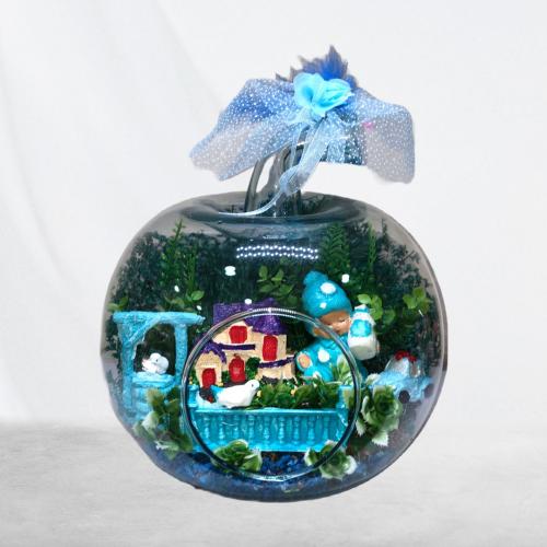 Büyük Boy Hoşgeldin Bebek Teraryum Erkek