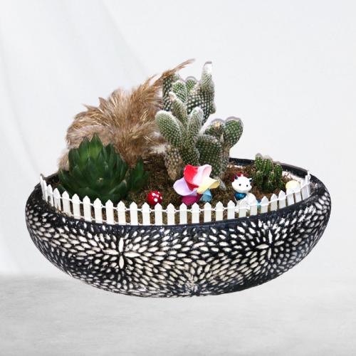 ayık Teraryum Kaktüs Bahçesi