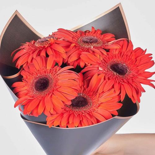 Kırmızı Gerbera Çiçek Buketi
